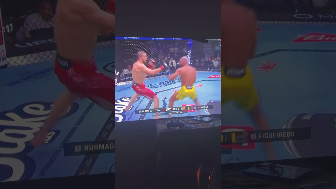 UFC 324: UFC 324 Prelims Highlights 🥊