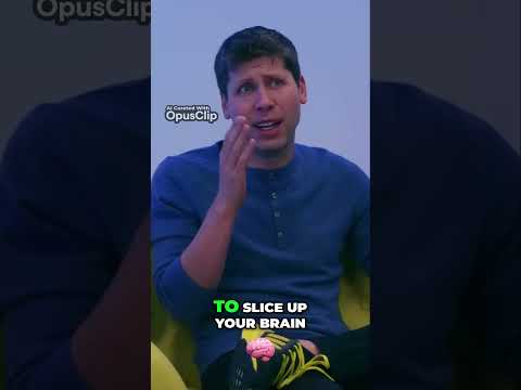 Understanding Neural Networks  Unveiling the Evolution of Brain Connections