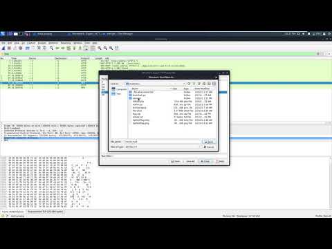 securebug #CTF #cuteduck.pcapng #walkthrough