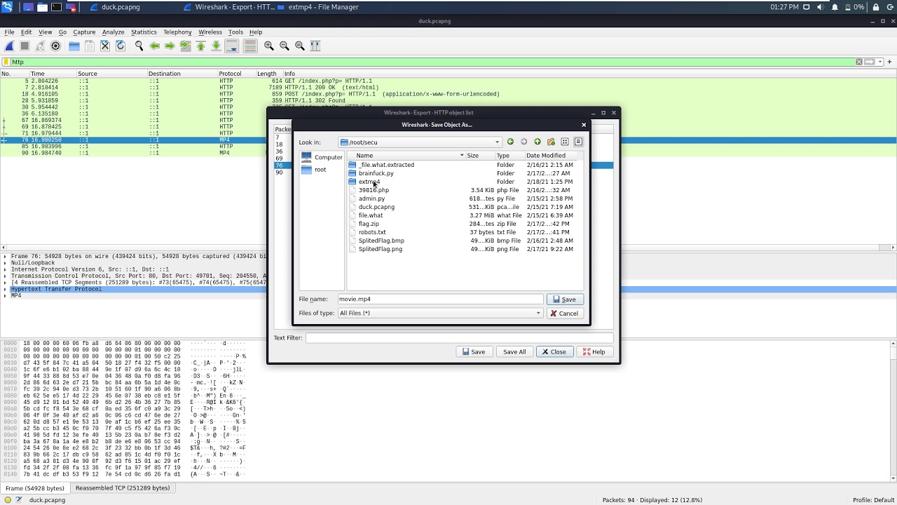 SecureBug CTF Walkthrough: Extracting Files from cuteduck.pcapng with D3m0nic W0lf πΊ