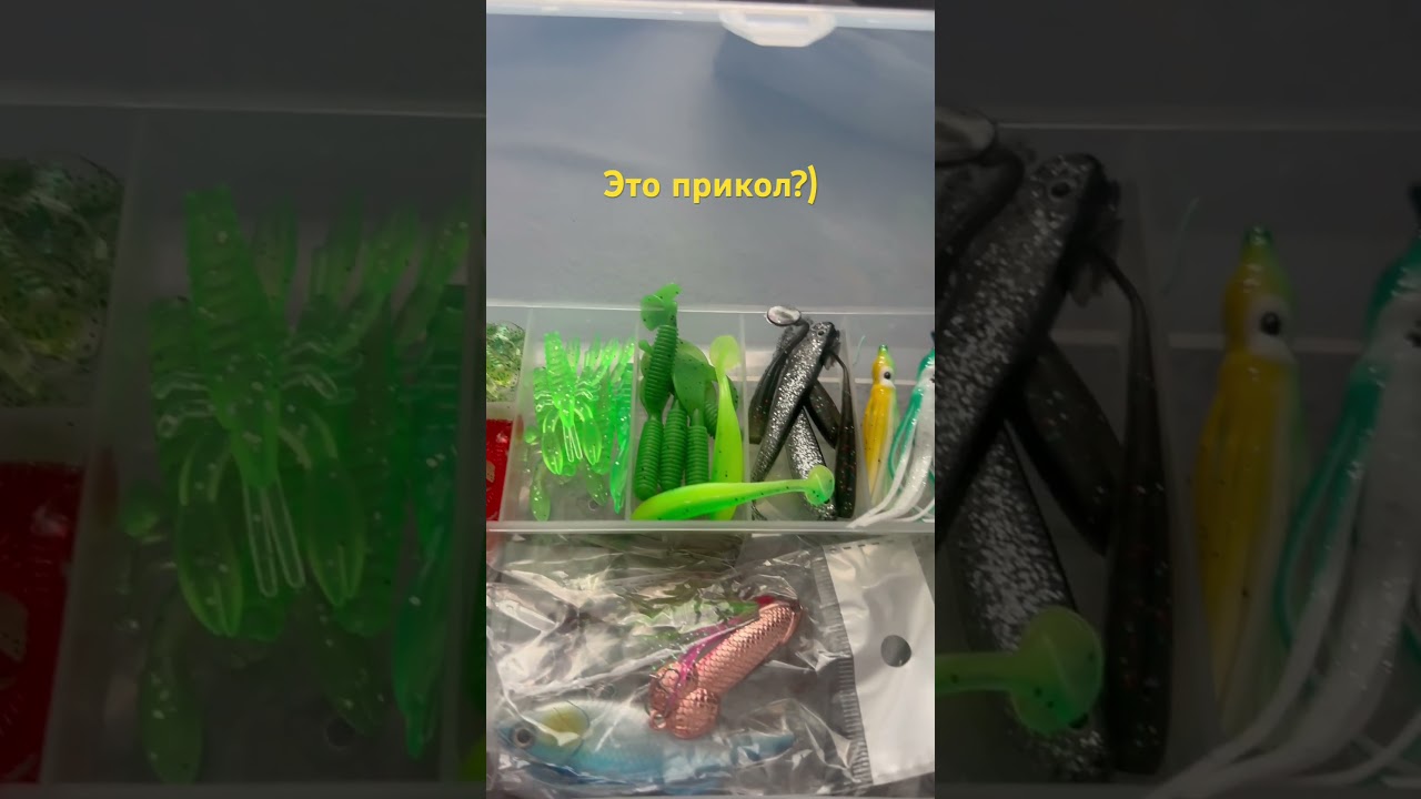 Новое хобби в Новосибирске 🎣