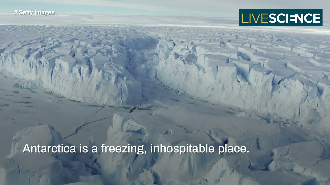 Could Antarctica Become Habitable? 🌍