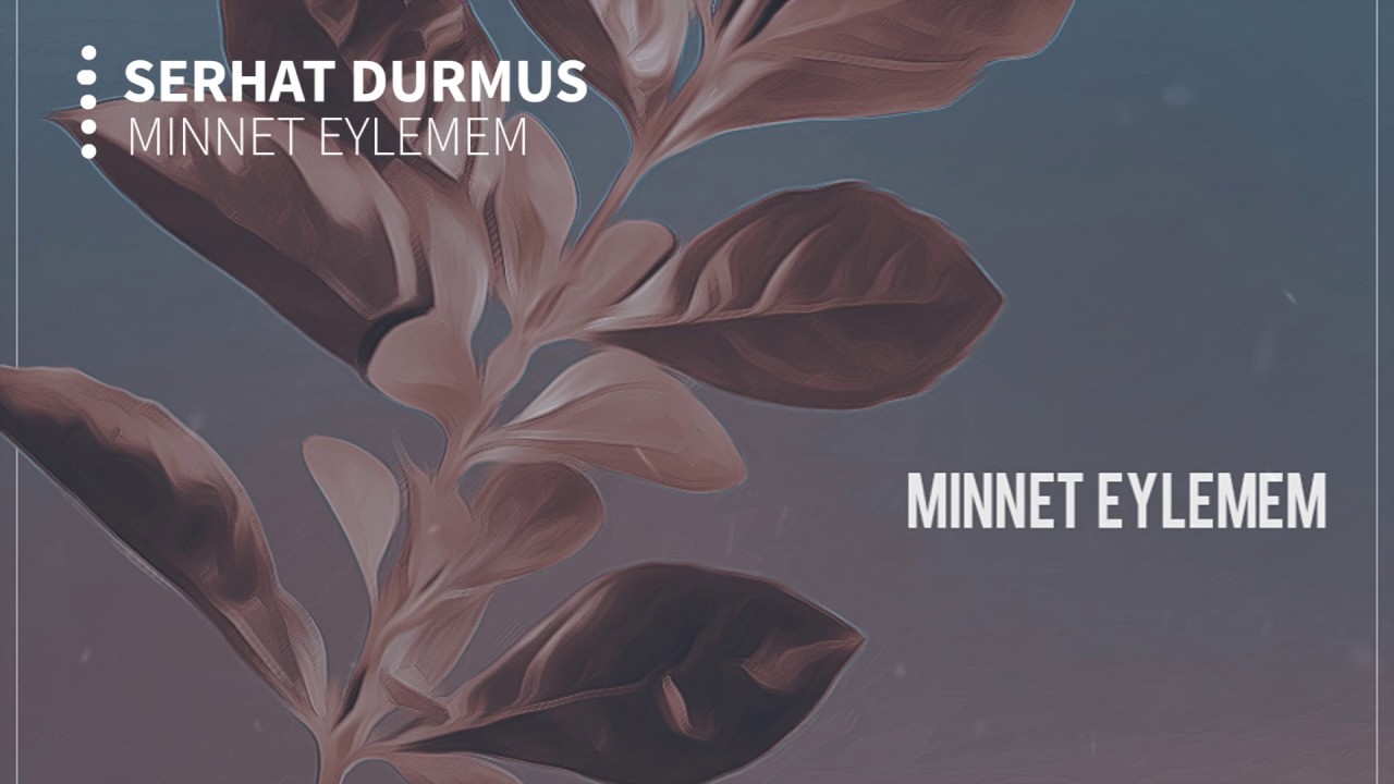 Minnet Eylemem (Serhat Durmus Remix) 🎶 – Discover the New Version!