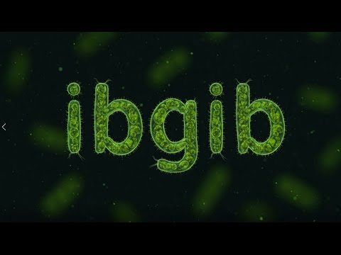 IbGib.com Updates: Dynamic AI Theming 🌟