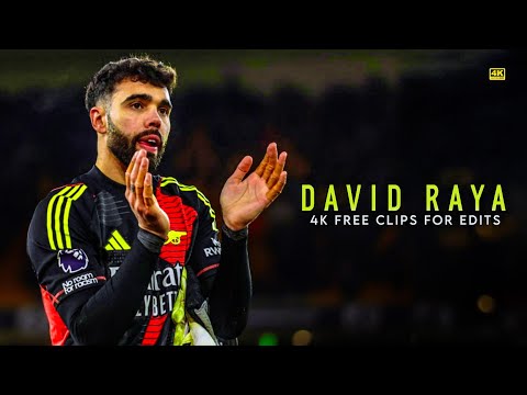 David Raya 2025 ● FREE CLIPS / NO WATERMARK ● FREE TO USE ● 4K 2160p