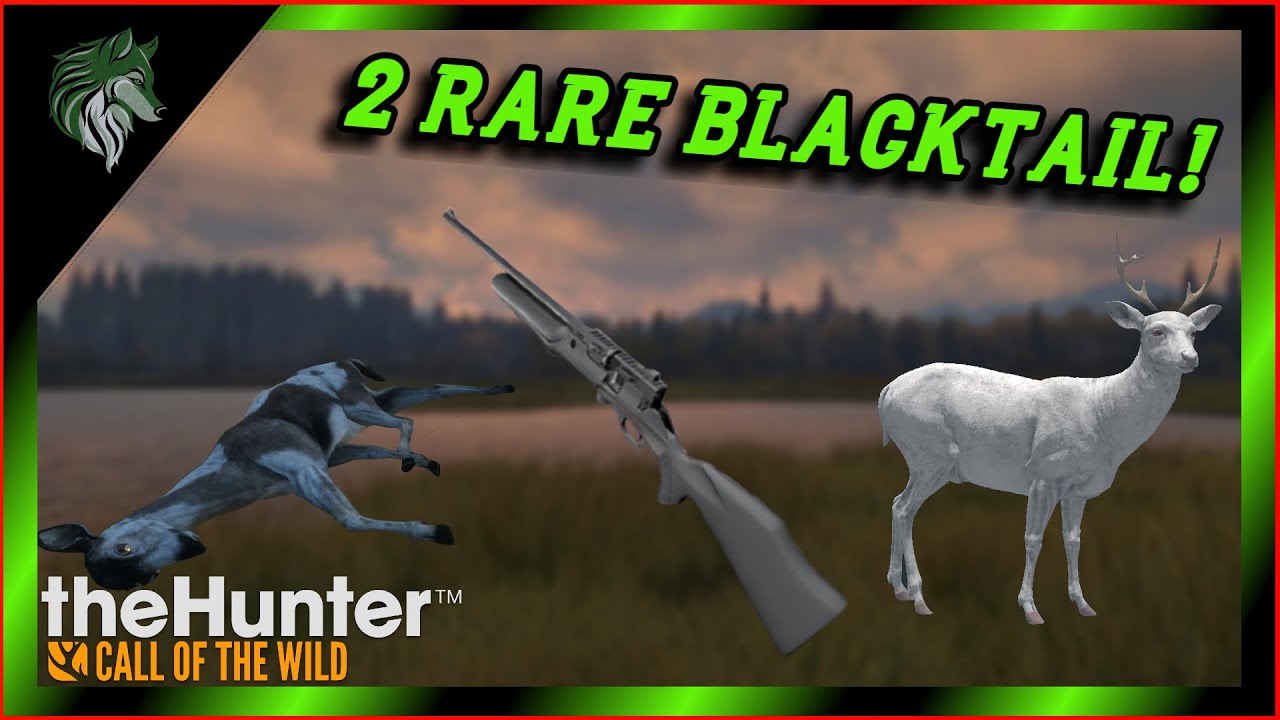 Albino and Piebald Blacktail Deer WITH THE AIR RIFLE! TheHunter Call Of The Wild