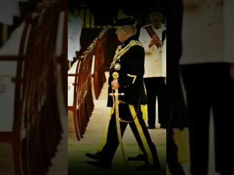 RAMAI TAK SEDAR PROTOKOL ISTANA JOHOR BERBEZA DENGAN NEGERI MELAYU LAIN #shorts #johor #amazingfacts