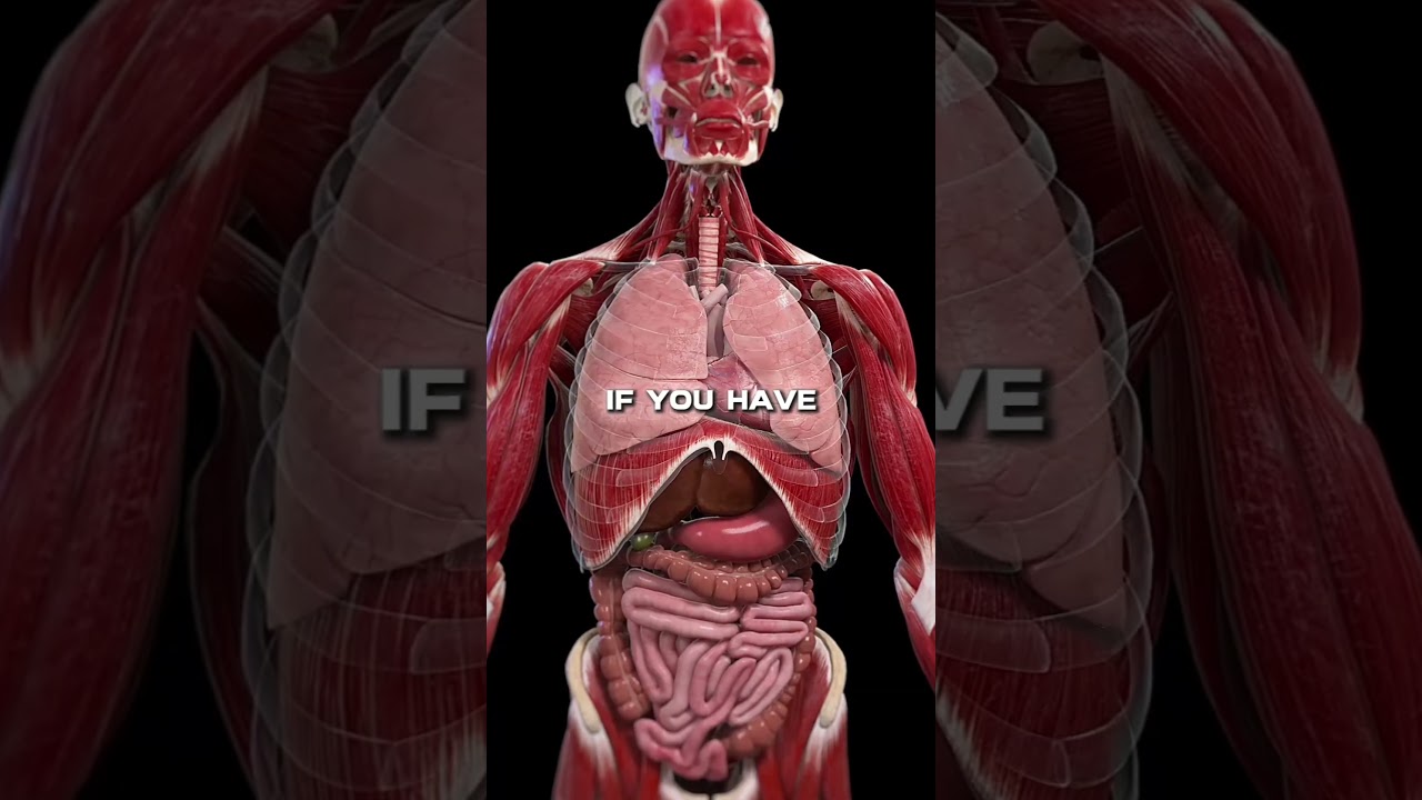 Nature’s Juice Bar: Brain, Heart & Sleep Boosts 🧃