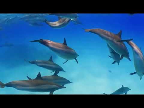 СБОРНИК -КРАСИВЫХ МЕЛОДИЙ! Инструментальная музыка, вдохновляющая на жизнь! #МУЗЫКА #КРАСИВАЯМУЗЫКА