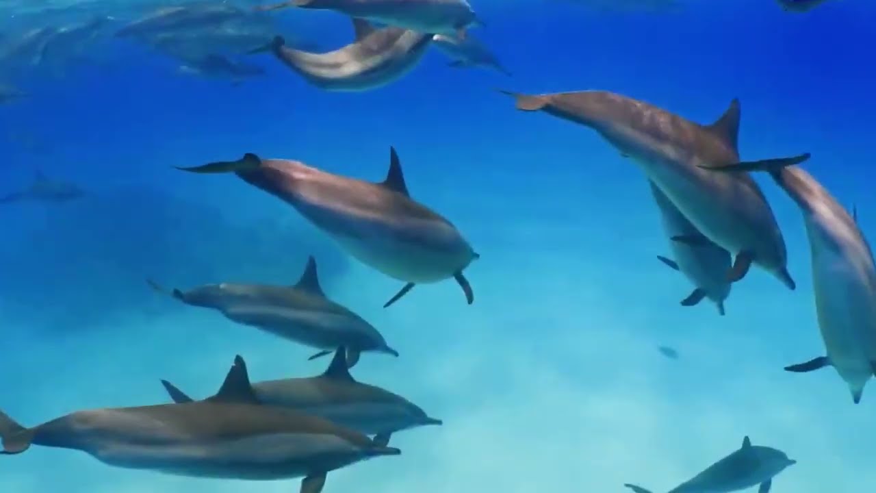 Красивые Мелодии для Вдохновения и Мотивации 🎶