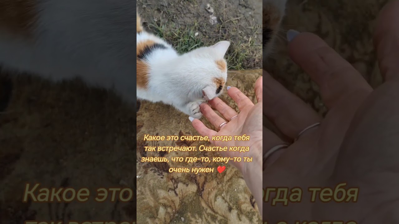 Счастье — быть любимым и ждать тебя ❤️