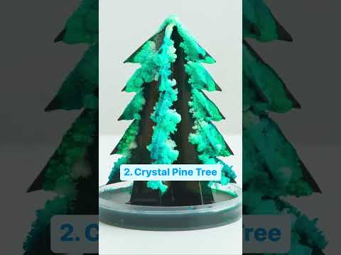 5 Science Fair Project Ideas