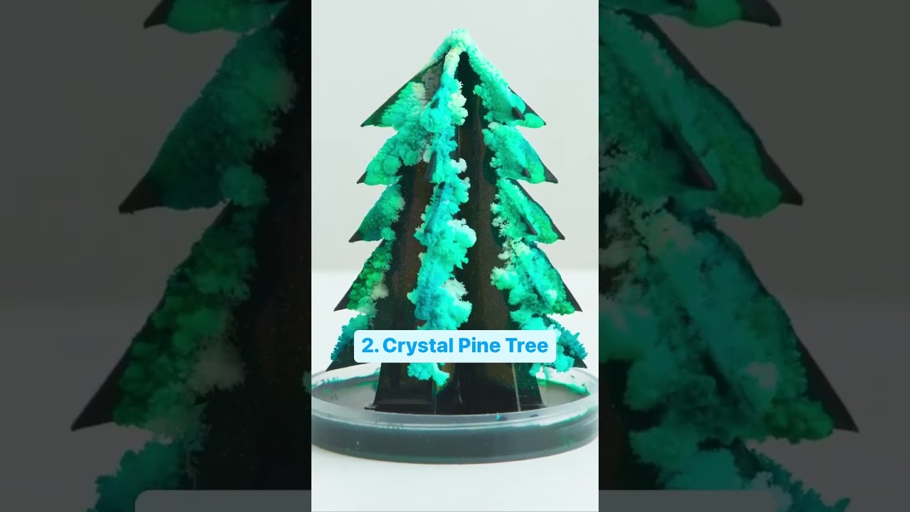 5 Top 5 Exciting Science Fair Projects to Inspire Your Kids π