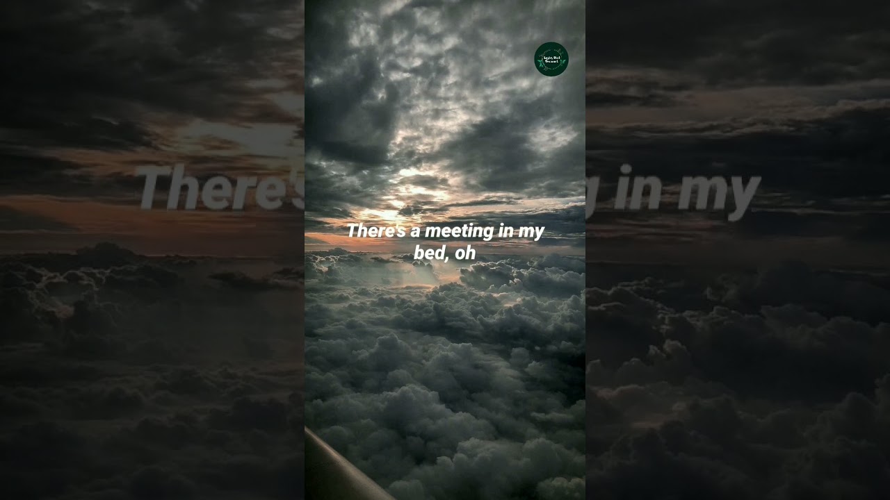 In My Bed (feat. Wale) Lyrics 🎶