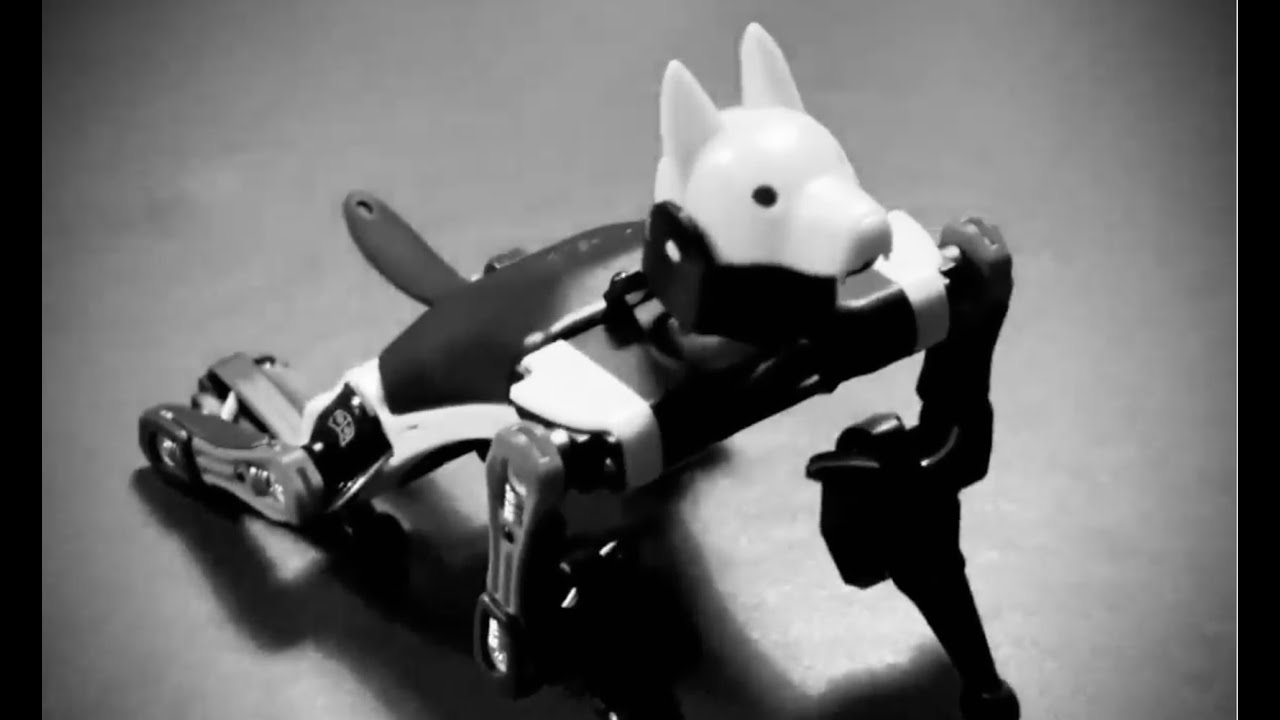 Einführung in die Informatik an der Universität Bamberg – Vorlesung 0 👩‍💻