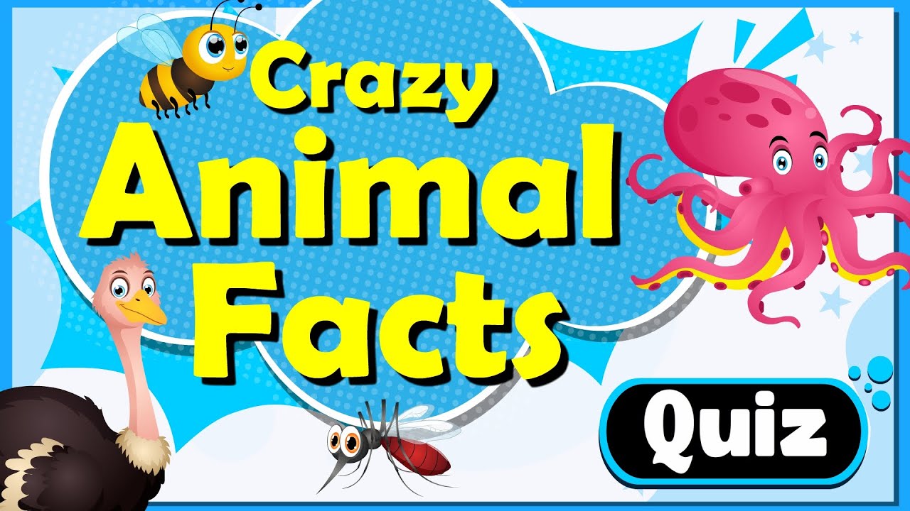 Animal Facts Quiz for Kids 🐾