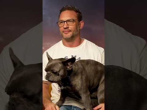 Tom Hardy's dog interrupts an interview #tomhardy #venom3 #venomthelastdance #shorts #dog #jiujitsu