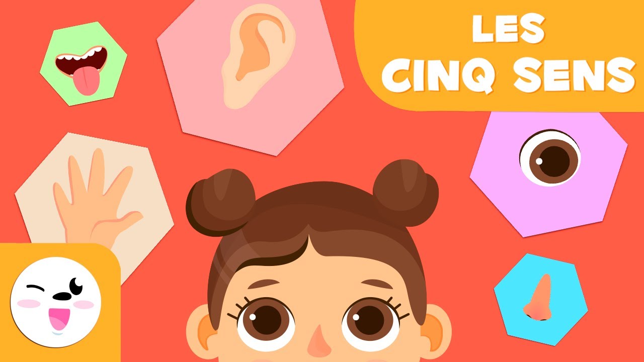 Les 5 sens pour enfants 🌟