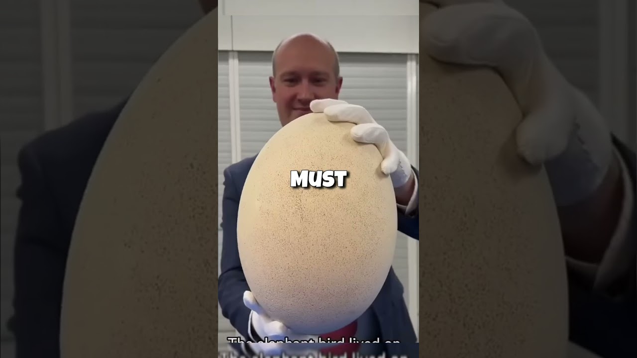 Most Unique Eggs Around the World 🥚