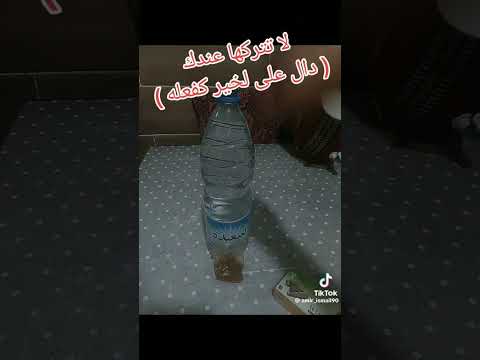 القسط الهندي #shortvideo #funny #reels #الجزائر