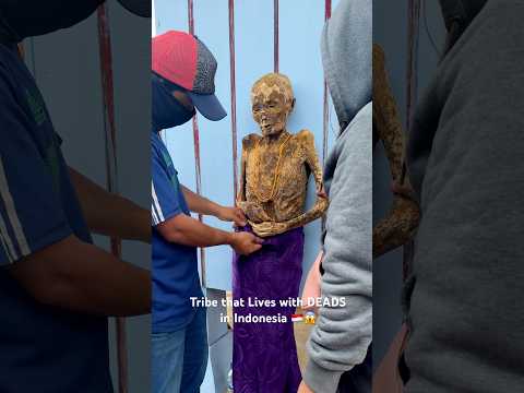 This tribe lives with DEAD people! 😱 #indonesia #trending #travel #youtubeshorts