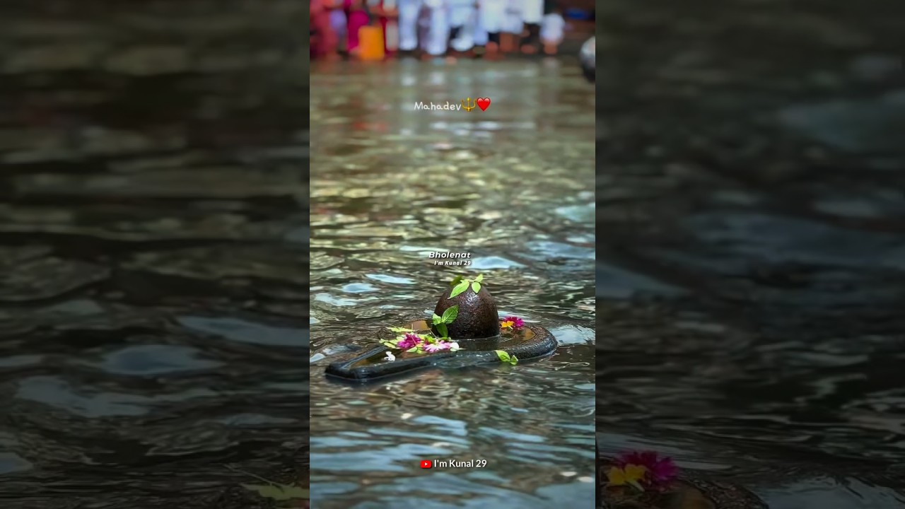 Mahadev & Mahakal Status Video 💫☘️