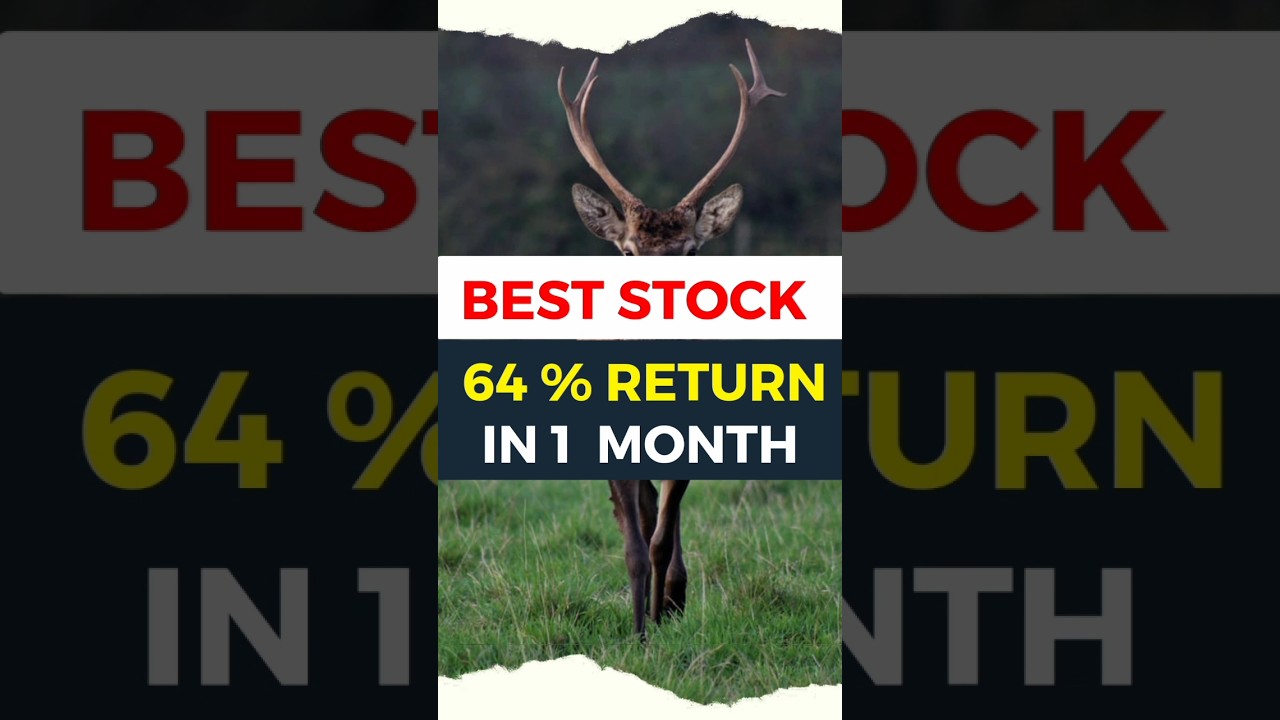 Top Long-Term Stocks for High Returns 📈