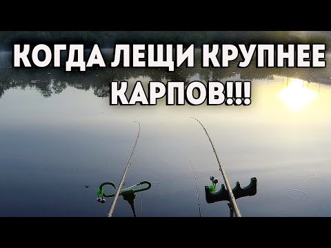 Нервным лучше не смотреть🐟🐟🐟.МОЩНЫЕ ПОКЛЕВКИ ЛЕЩА. Рыбалка на фидер.