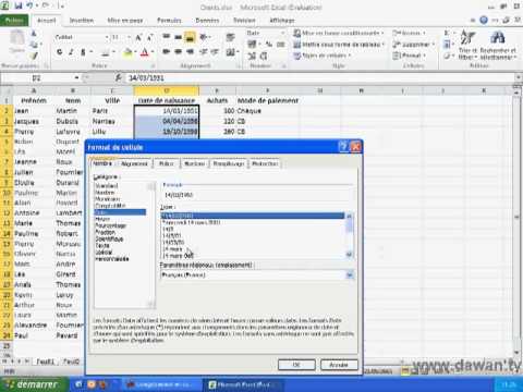 Excel 2010 : Guide de Format de Cellule