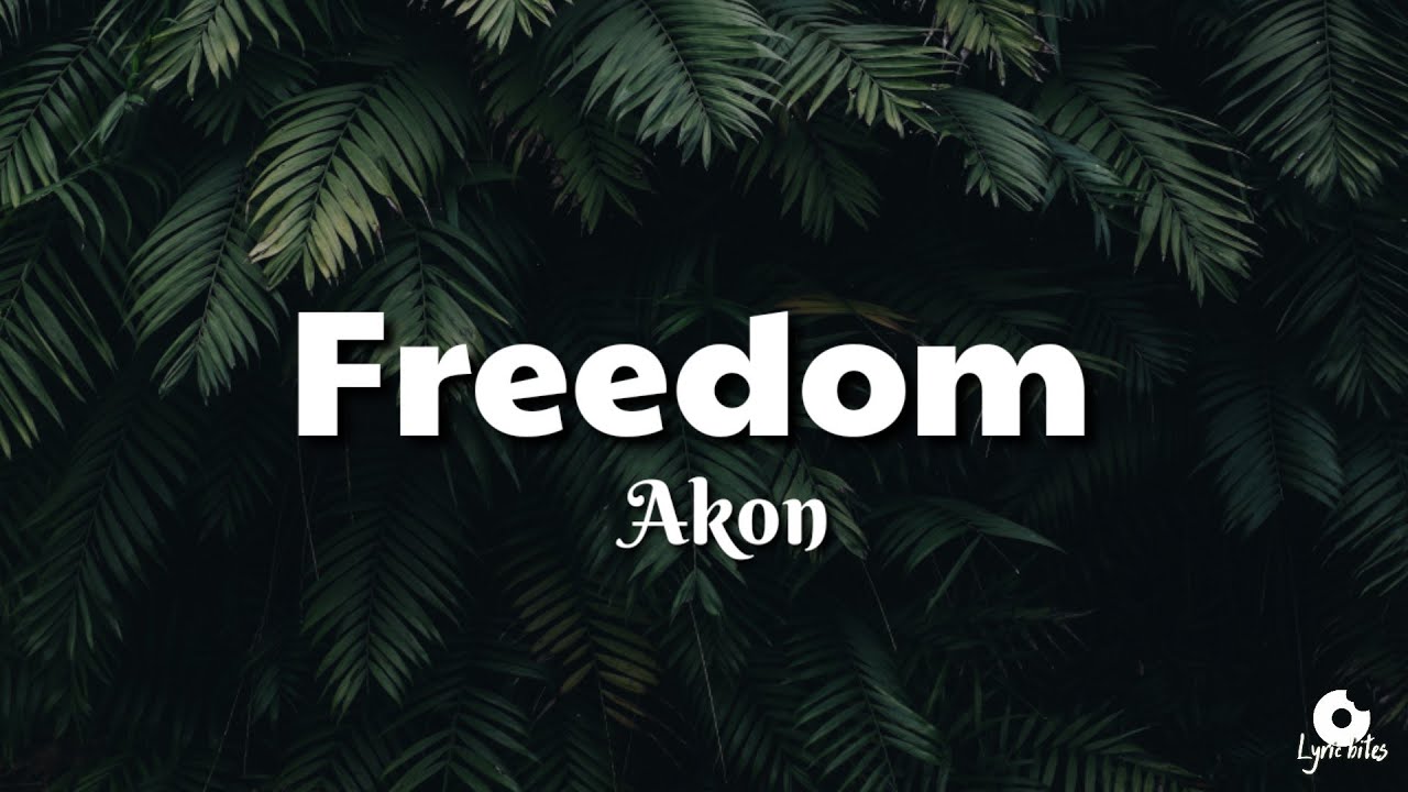 Akon - Freedom Lyrics Video 🎶