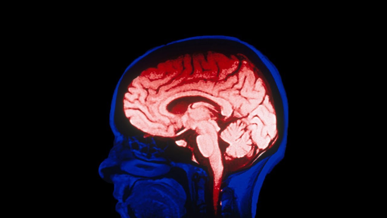 Self-Improvement: Enhancing Your Brain