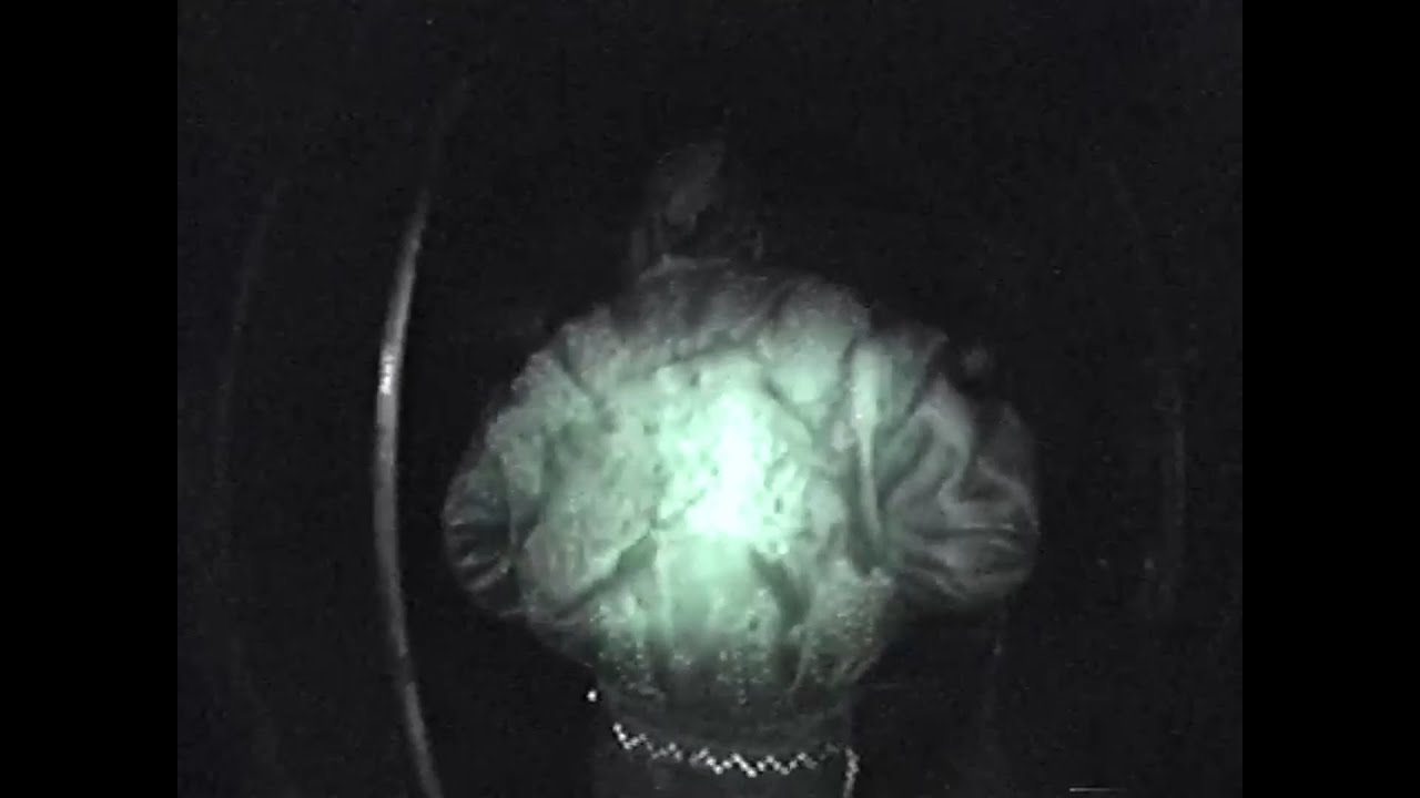 Lithe - Stepped Out LV (Visualizer) 🎶