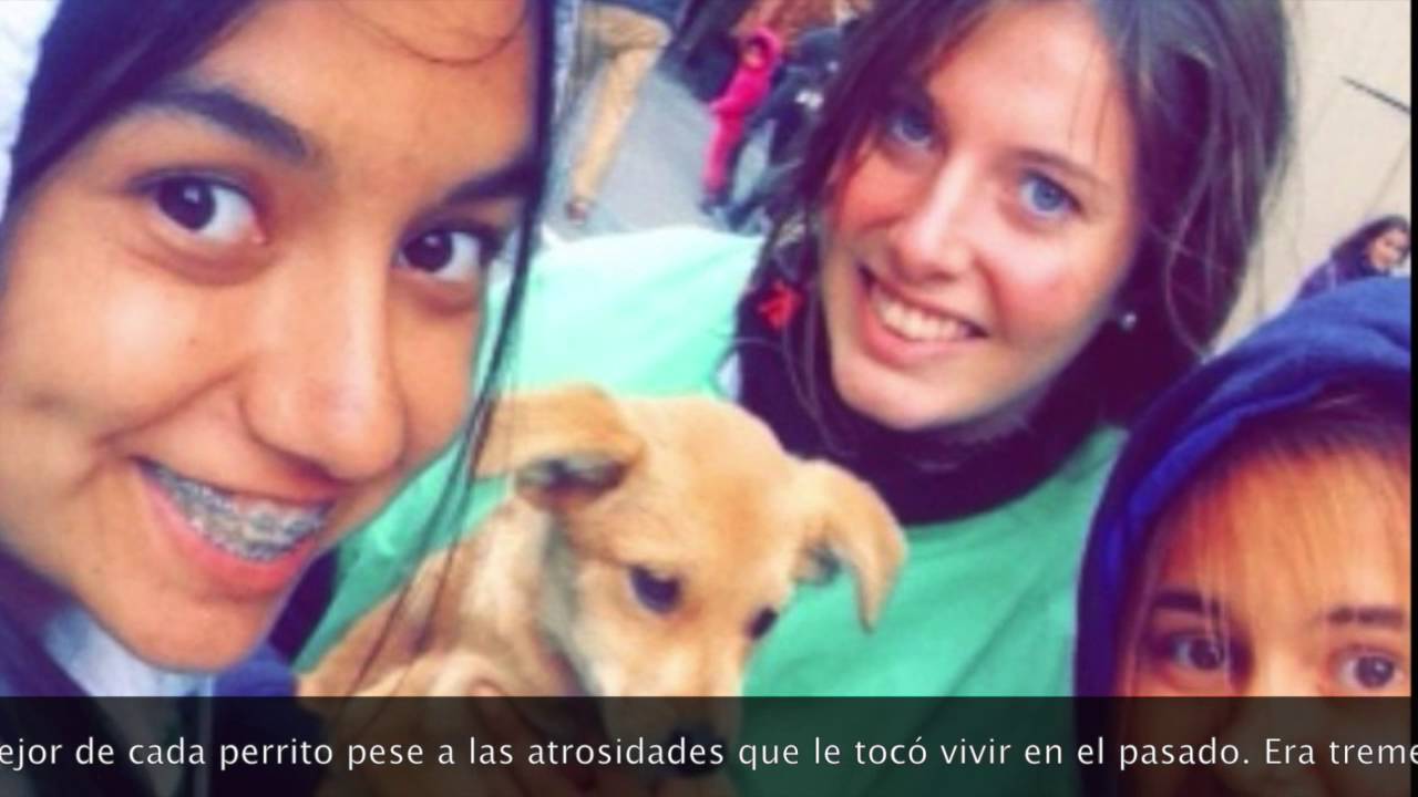 TOK-CAS Laura Contreras: Lau TokCas Overview