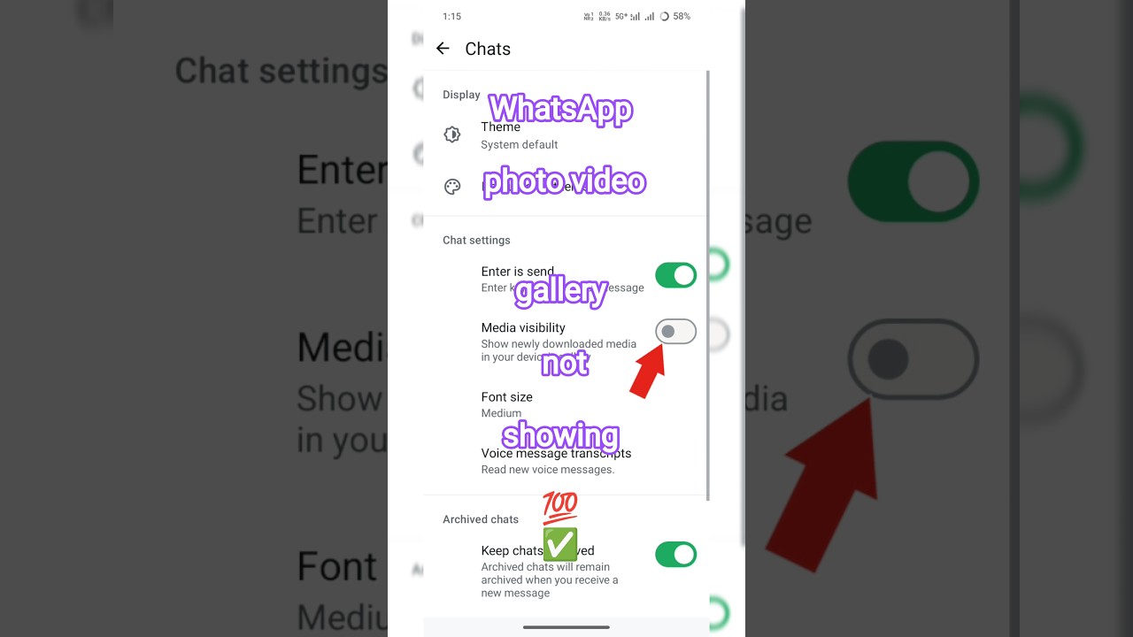 WhatsApp Photos/Videos Not Showing in Gallery 📱