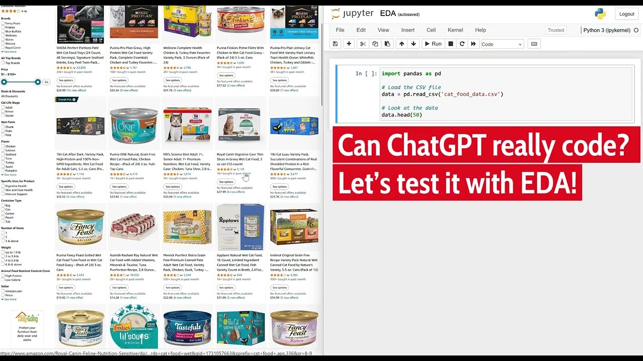 Can ChatGPT Ace Coding? Testing Its Skills with Exploratory Data Analysis 🐱