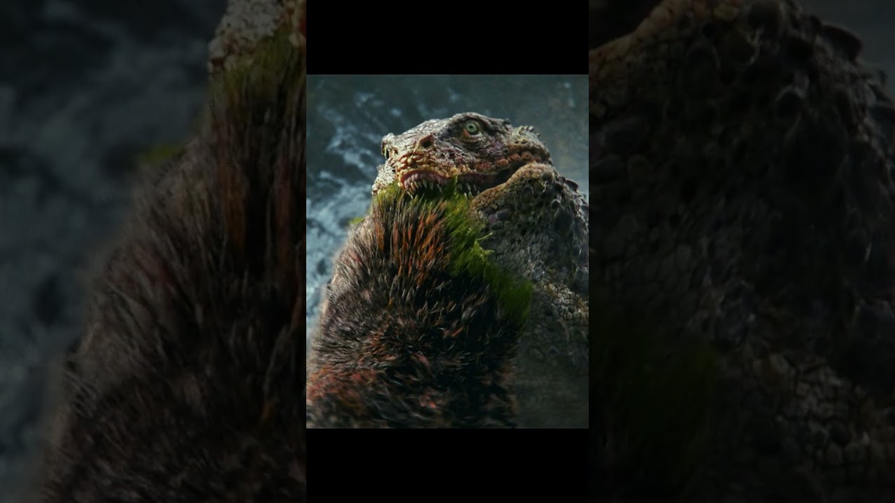 Kong's Tooth Pain in Godzilla x Kong: The New Empire (2024) 🔥