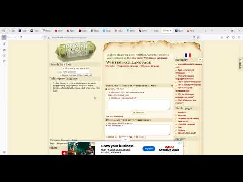 Hackviser Steganography Whitespace