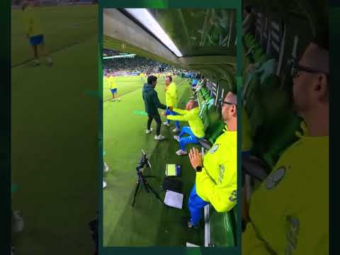 A reação do banco do Palmeiras ao segundo gol de Flaco López contra o River Plate.