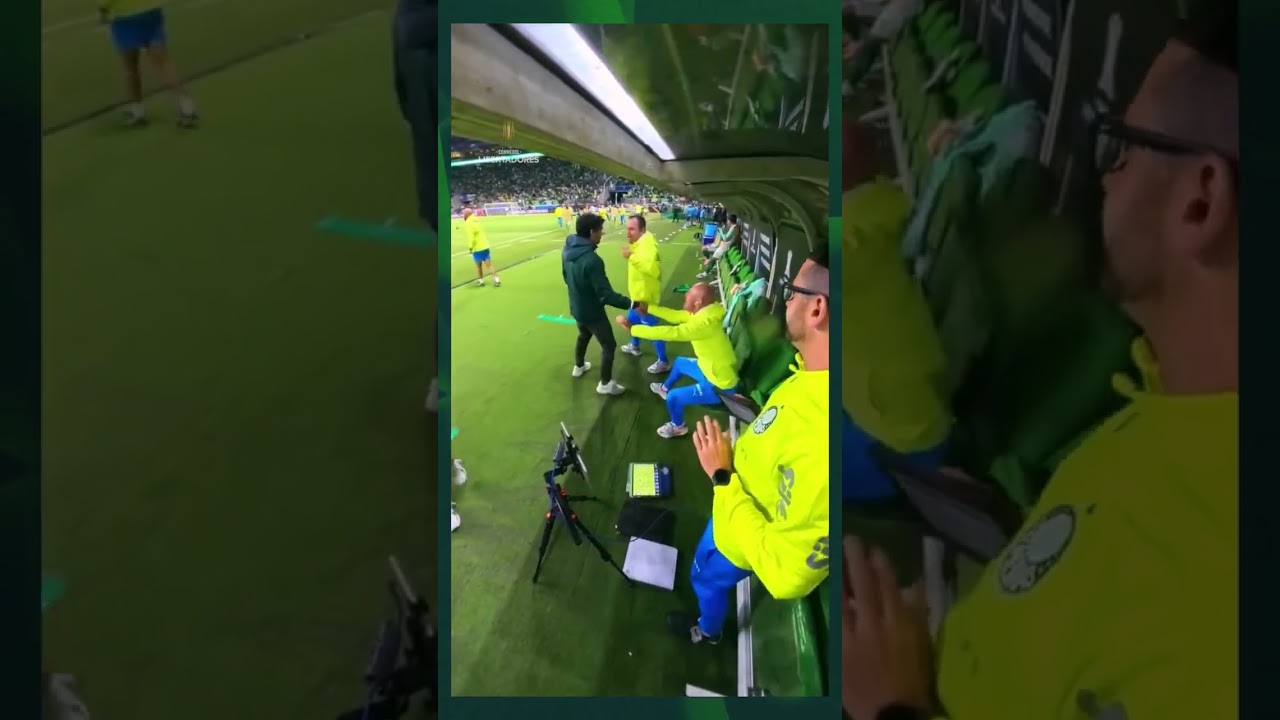 Reação do Banco do Palmeiras ao Gol de Flaco López contra o River Plate ⚽