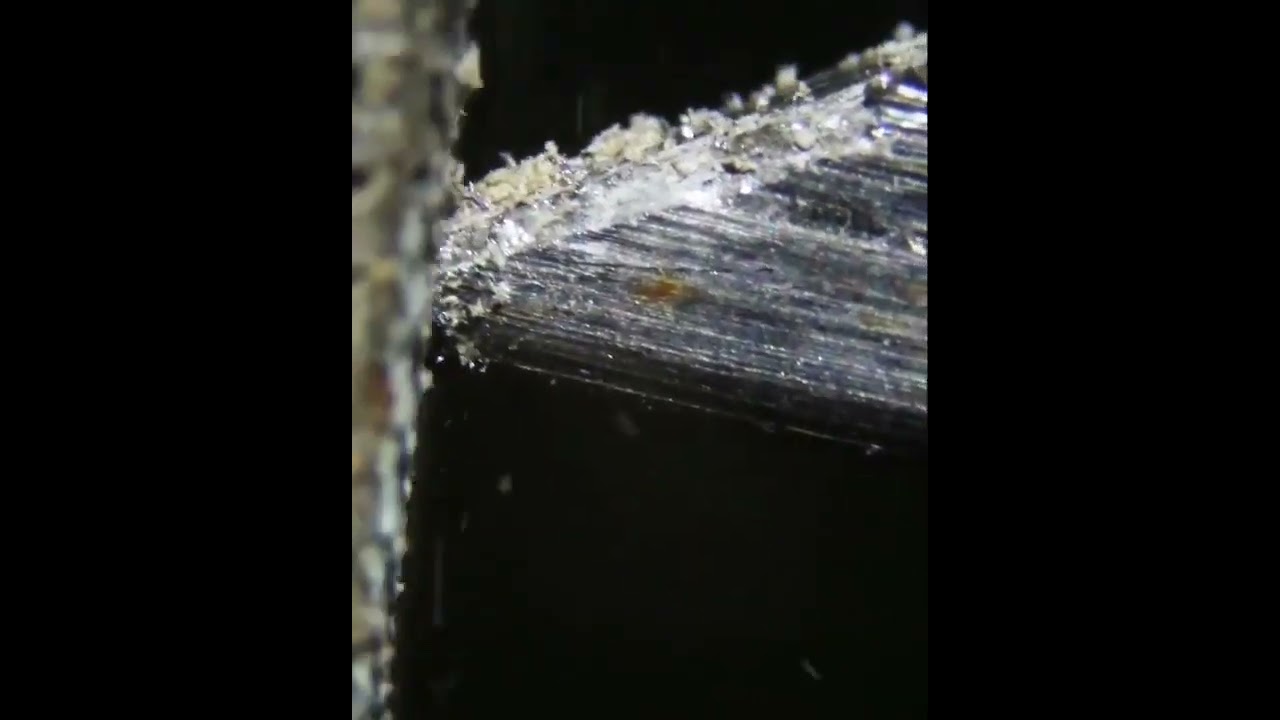 object_videos