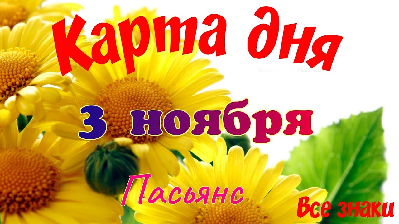 Карта дня 3 ноября 2025: прогноз для каждого знака зодиака 🌾