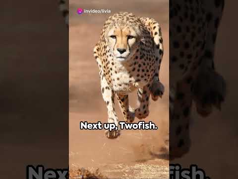 Top 5 Unbreakable Encryption Algorithms