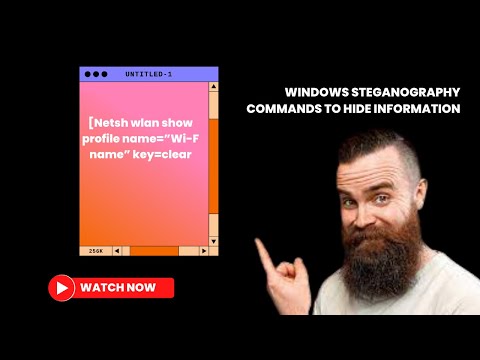 Steganography with windows command line