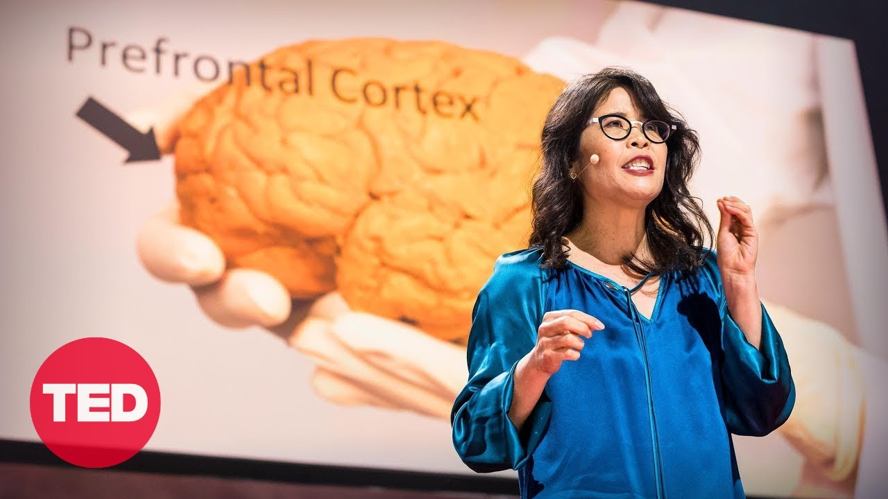 Unlock Your Brain’s Potential with Exercise | TED Talk by Wendy Suzuki 🧠