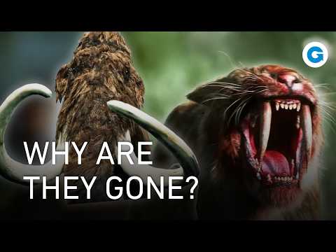 The Last Giants: Tracking the Ice Age Extinction | Full Documentary