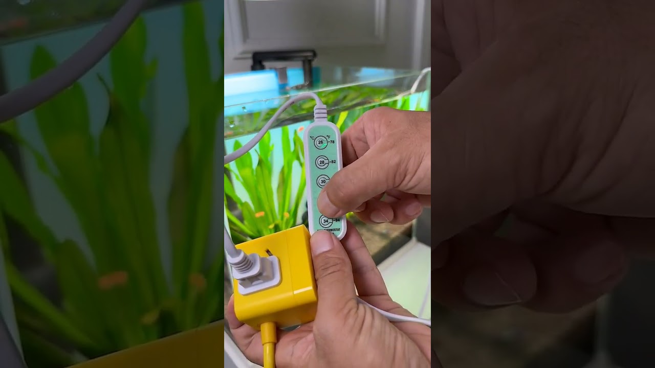 Top Small Aquarium Filter for Stunning Fish Tanks 🐟