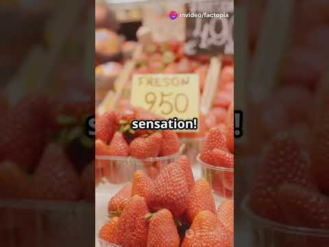 Top 3 Global Trends : Fashion , Luxury and Politics! || Real Factopia || #trend#hottrends#trendalert