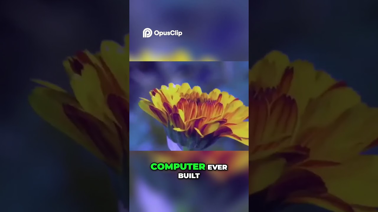 Google's WILLOW: A New Era in Quantum Computing