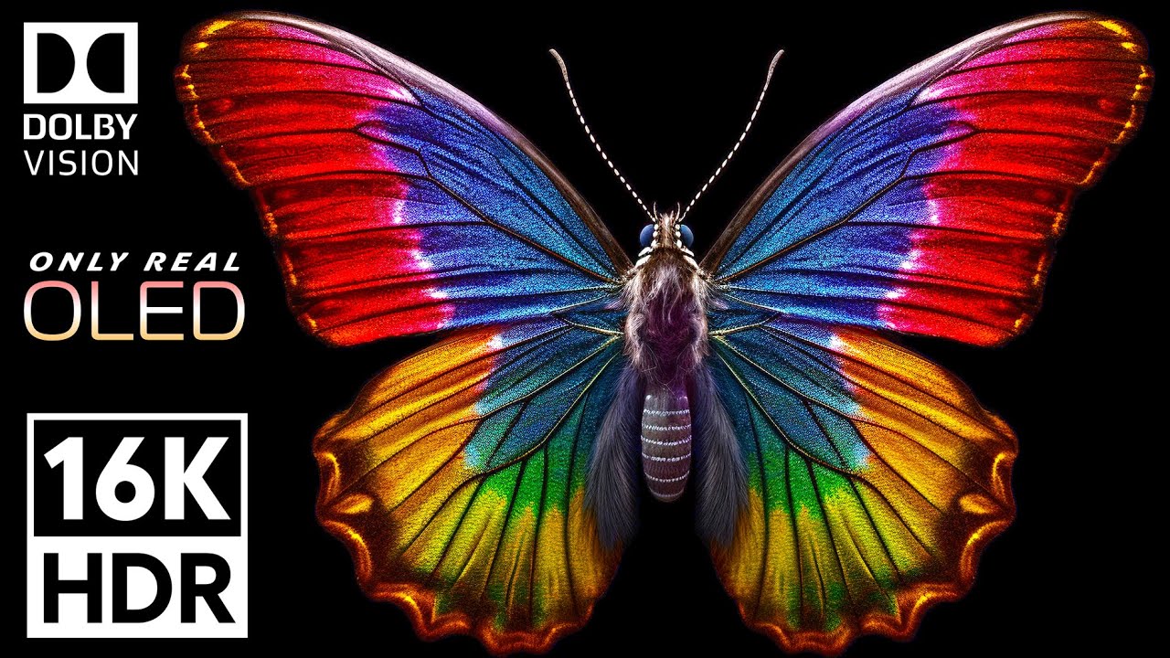 Only Real OLED | 16K Ultra HD Dolby Vision HDR Video with Relaxing Meditation Music