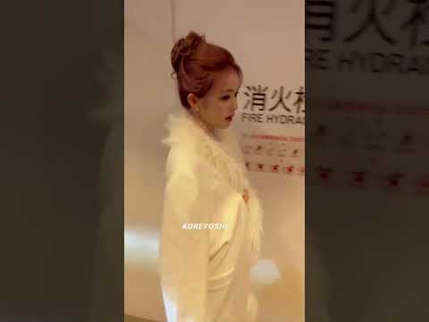 đẹp quá #bailu #白鹿 #bachloc #ไป๋ลู่